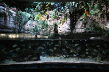 Enlarge photo 21