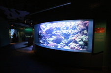 Enlarge photo 23