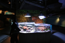 Enlarge photo 26