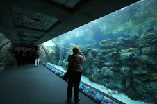 Enlarge photo 29