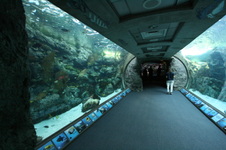Aquarium