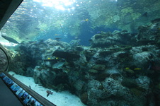 Enlarge photo 31