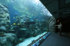 Enlarge photo 32