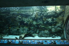 Enlarge photo 33