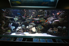 Enlarge photo 34