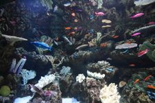 Enlarge photo 36
