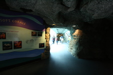 Enlarge photo 37