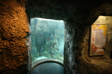 Enlarge photo 38