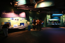Enlarge photo 39