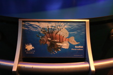 Enlarge photo 40