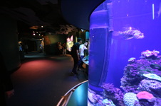 Enlarge photo 43
