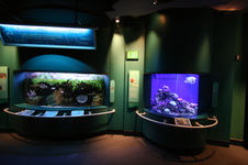 Enlarge photo 47