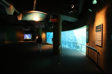 Enlarge photo 49