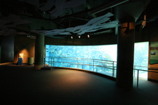 Enlarge photo 50