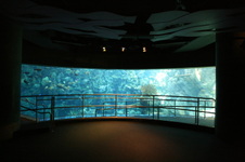 Enlarge photo 51