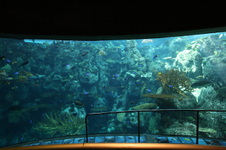Enlarge photo 52