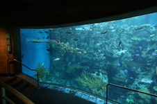Enlarge photo 53