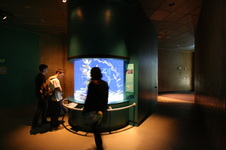 Enlarge photo 55