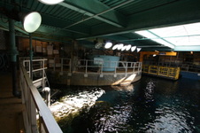 Enlarge photo 58