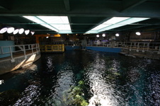 Enlarge photo 59