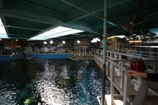 Enlarge photo 60