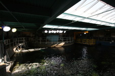 Enlarge photo 61