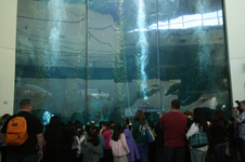 Enlarge photo 64
