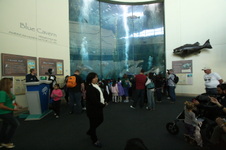 Enlarge photo 65
