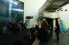 Enlarge photo 67