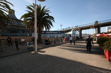 Santa Monica Aquarium