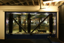 Enlarge photo 48