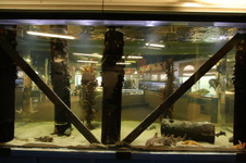Enlarge photo 49