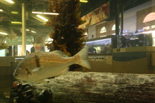Enlarge photo 53