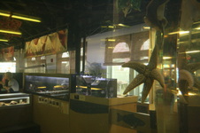 Enlarge photo 54