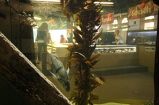 Enlarge photo 55