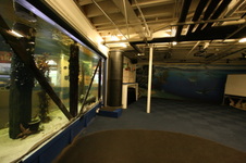 Enlarge photo 47