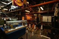 Enlarge photo 122