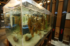 Enlarge photo 123