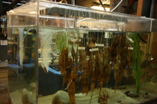 Enlarge photo 124