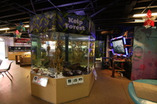 Enlarge photo 58
