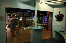 Enlarge photo 62