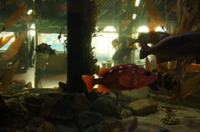 Enlarge photo 63