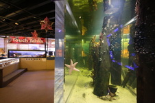 Enlarge photo 65