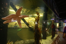 Enlarge photo 67