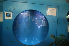 Enlarge photo 69
