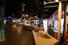 Enlarge photo 71