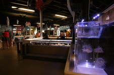 Enlarge photo 72