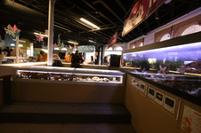 Enlarge photo 75