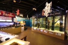 Enlarge photo 81