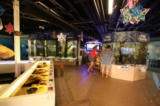 Enlarge photo 83